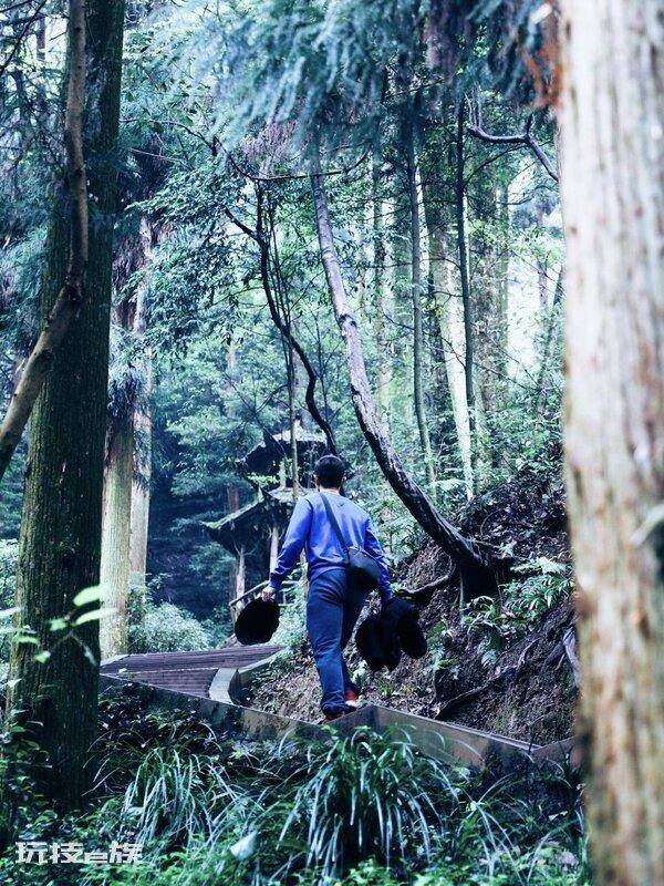 青城山海拔多少米高(成都都江堰青城山景区的游玩攻略)-图片4